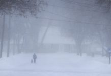 Polar Vortex Polar Vortex