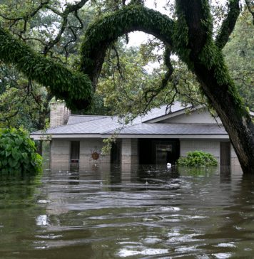 Reader Idea: Helping Students Discover and Write About the Issues That Matter to Them Reader Idea: Helping Students Discover and Write About the Issues That Matter to Them