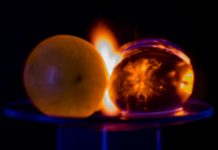 Learning With: ‘When Plasma Becomes Another Fruit of the Vine’ Learning With: ‘When Plasma Becomes Another Fruit of the Vine’