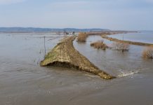Learning With: ‘“Breaches Everywhere”: Flooding Bursts Midwest Levees, and Tough Questions Follow’ Learning With: ‘“Breaches Everywhere”: Flooding Bursts Midwest Levees, and Tough Questions Follow’