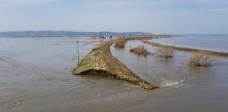 Learning With: ‘“Breaches Everywhere”: Flooding Bursts Midwest Levees, and Tough Questions Follow’ Learning With: ‘“Breaches Everywhere”: Flooding Bursts Midwest Levees, and Tough Questions Follow’