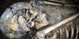 Learning With: ‘Did Dietary Changes Bring Us ‘F’ Words? Study Tackles Complexities of Language’s Origins’ Learning With: ‘Did Dietary Changes Bring Us ‘F’ Words? Study Tackles Complexities of Language’s Origins’