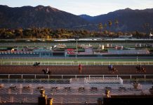 Is Horse Racing Ethical? Is Horse Racing Ethical?