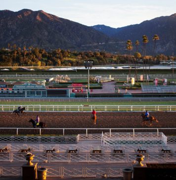 Is Horse Racing Ethical? Is Horse Racing Ethical?