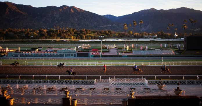 Is Horse Racing Ethical?