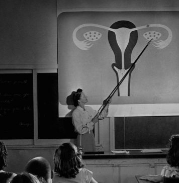 What Has Your Sex Education Been Like? What Has Your Sex Education Been Like?