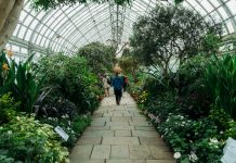 What Role Does Nature Play in Your Life? What Role Does Nature Play in Your Life?