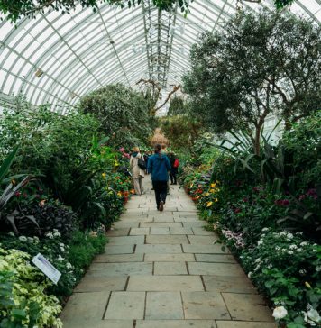 What Role Does Nature Play in Your Life? What Role Does Nature Play in Your Life?