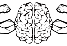 A Brief Overview of Working Memory A Brief Overview of Working Memory