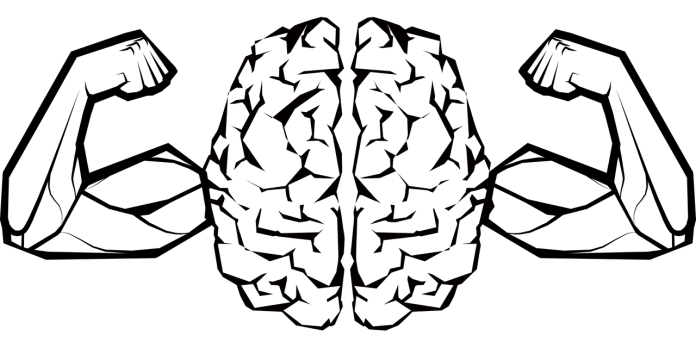 A Brief Overview of Working Memory