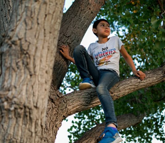 What’s Your Favorite Word? What’s Your Favorite Word?