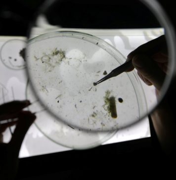 Nothing Gets Between Me and My Sushi… Except Plastic, Maybe Nothing Gets Between Me and My Sushi… Except Plastic, Maybe