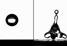 Over 100 ‘Evergreen’ New York Times Articles With Questions and Activities for Students Over 100 ‘Evergreen’ New York Times Articles With Questions and Activities for Students