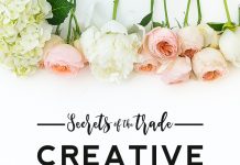 Comment on Secrets of the Trade | Creative Market by bingeek Comment on Secrets of the Trade | Creative Market by bingeek