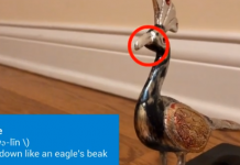 Our Seventh Annual 15-Second Vocabulary Video Challenge Our Seventh Annual 15-Second Vocabulary Video Challenge