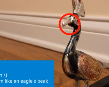 Our Seventh Annual 15-Second Vocabulary Video Challenge Our Seventh Annual 15-Second Vocabulary Video Challenge