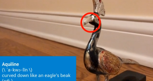 Our Seventh Annual 15-Second Vocabulary Video Challenge Our Seventh Annual 15-Second Vocabulary Video Challenge