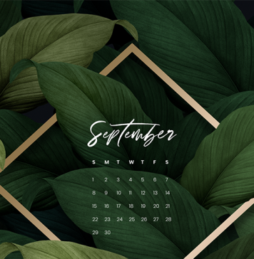 Free September Wallpaper Free September Wallpaper