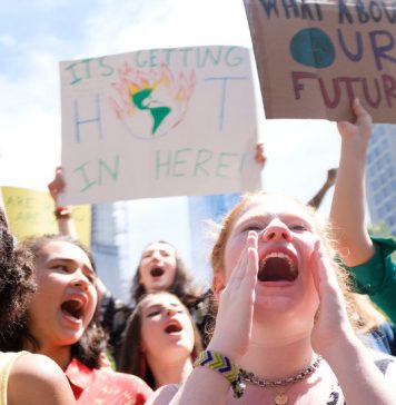 Are You Going to a Youth Climate Strike? Are You Going to a Youth Climate Strike?