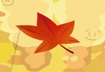 Favorite Season Favorite Season