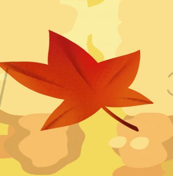 Favorite Season Favorite Season