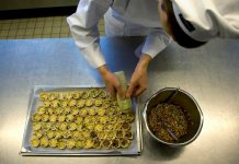 Lesson of the Day: ‘How to Develop an Appetite for Insects’ Lesson of the Day: ‘How to Develop an Appetite for Insects’