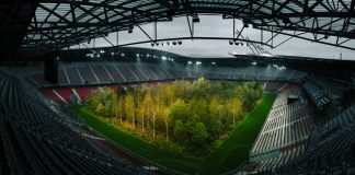 Forest in a Stadium Forest in a Stadium