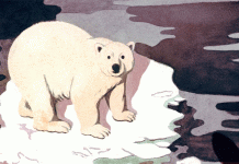 Should We Feel Guilty When We Travel? Should We Feel Guilty When We Travel?