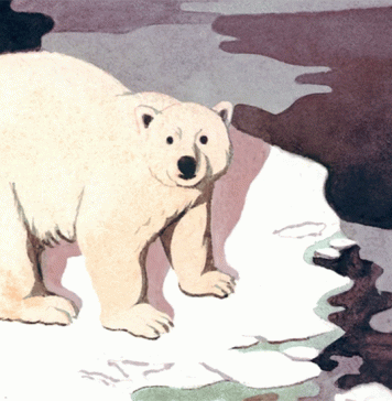 Should We Feel Guilty When We Travel? Should We Feel Guilty When We Travel?