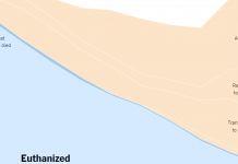 What’s Going On in This Graph? | Oct. 23, 2019 What’s Going On in This Graph? | Oct. 23, 2019