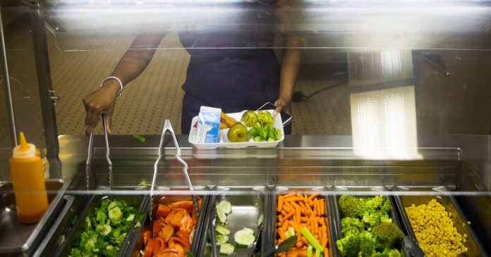 What Students Are Saying About Marriage, Paying for School Lunch, and Saying ‘No’