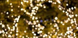 See you in 2020! See you in 2020!