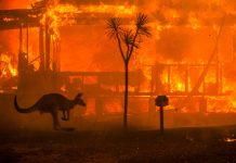 Weekly News Quiz for Students: Targeted Killing, Wildfires, Football Upset Weekly News Quiz for Students: Targeted Killing, Wildfires, Football Upset