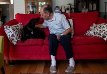 Lesson of the Day: ‘Dogs Can’t Help Falling in Love’ Lesson of the Day: ‘Dogs Can’t Help Falling in Love’