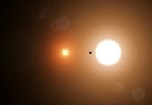 Lesson of the Day: ‘How’s Your Internship Going? This Teen Found a Planet’ Lesson of the Day: ‘How’s Your Internship Going? This Teen Found a Planet’