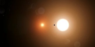 Lesson of the Day: ‘How’s Your Internship Going? This Teen Found a Planet’ Lesson of the Day: ‘How’s Your Internship Going? This Teen Found a Planet’