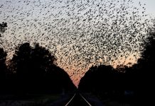 What Questions Do You Have About How the World Works? What Questions Do You Have About How the World Works?