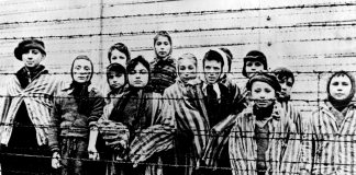 Do You Think the World Is Getting Closer to Securing the Promise of ‘Never Again’? Do You Think the World Is Getting Closer to Securing the Promise of ‘Never Again’?