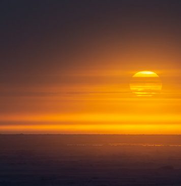 Lesson of the Day: ‘These Images Show the Sun’s Surface in Greater Detail Than Ever Before’ Lesson of the Day: ‘These Images Show the Sun’s Surface in Greater Detail Than Ever Before’