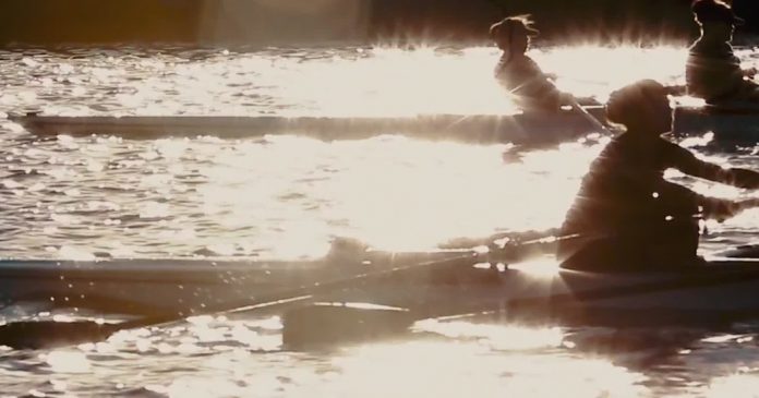 What Role Have Coaches Played in Your Life?