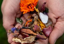 We Document Life’s Milestones. How Should We Document Death? We Document Life’s Milestones. How Should We Document Death?