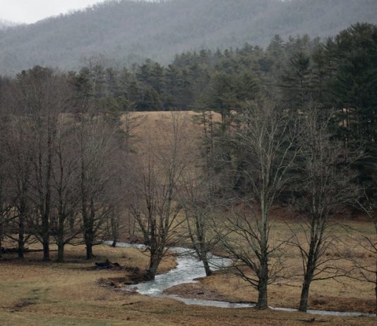 How Would Your Life Be Different if You Didn’t Have Wi-Fi and Cellular Service? How Would Your Life Be Different if You Didn’t Have Wi-Fi and Cellular Service?