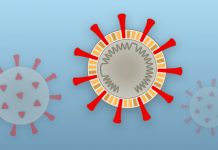Lesson of the Day: ‘How Coronavirus Hijacks Your Cells’ Lesson of the Day: ‘How Coronavirus Hijacks Your Cells’
