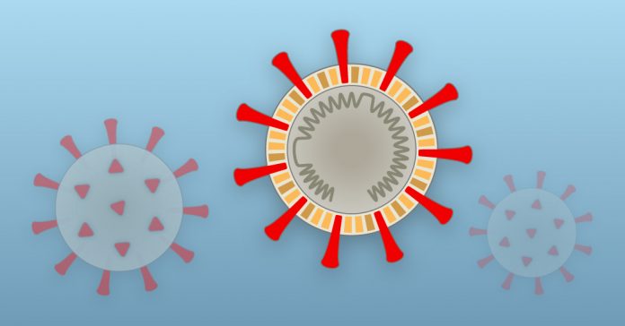 Lesson of the Day: ‘How Coronavirus Hijacks Your Cells’