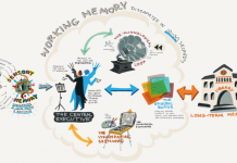 GUEST POST: The Power of Metacognition in Everyday Life GUEST POST: The Power of Metacognition in Everyday Life