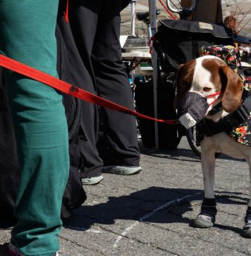 How Can You Tell a Story About Your Life Right Now Through a Few Simple Numbers? How Can You Tell a Story About Your Life Right Now Through a Few Simple Numbers?