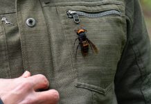 Lesson of the Day: ‘“Murder Hornets” in the U.S.: The Rush to Stop the Asian Giant Hornet’ Lesson of the Day: ‘“Murder Hornets” in the U.S.: The Rush to Stop the Asian Giant Hornet’