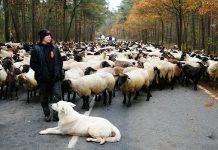 What’s Going On in This Picture? | May 11, 2020 What’s Going On in This Picture? | May 11, 2020