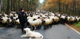 What’s Going On in This Picture? | May 11, 2020 What’s Going On in This Picture? | May 11, 2020