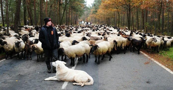 What’s Going On in This Picture? | May 11, 2020